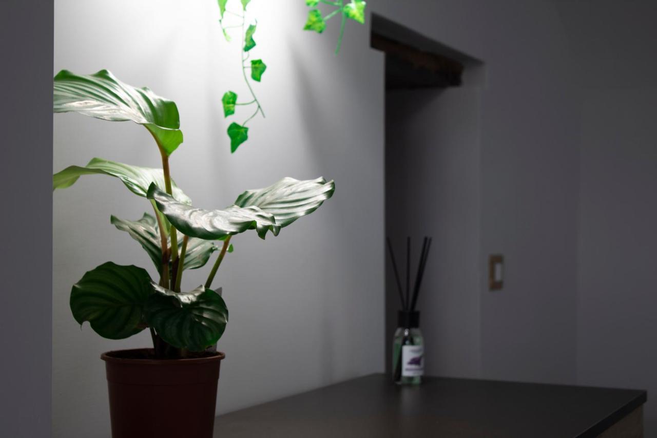 Apartmán Gregorius Chiringuito Neapol Exteriér fotografie